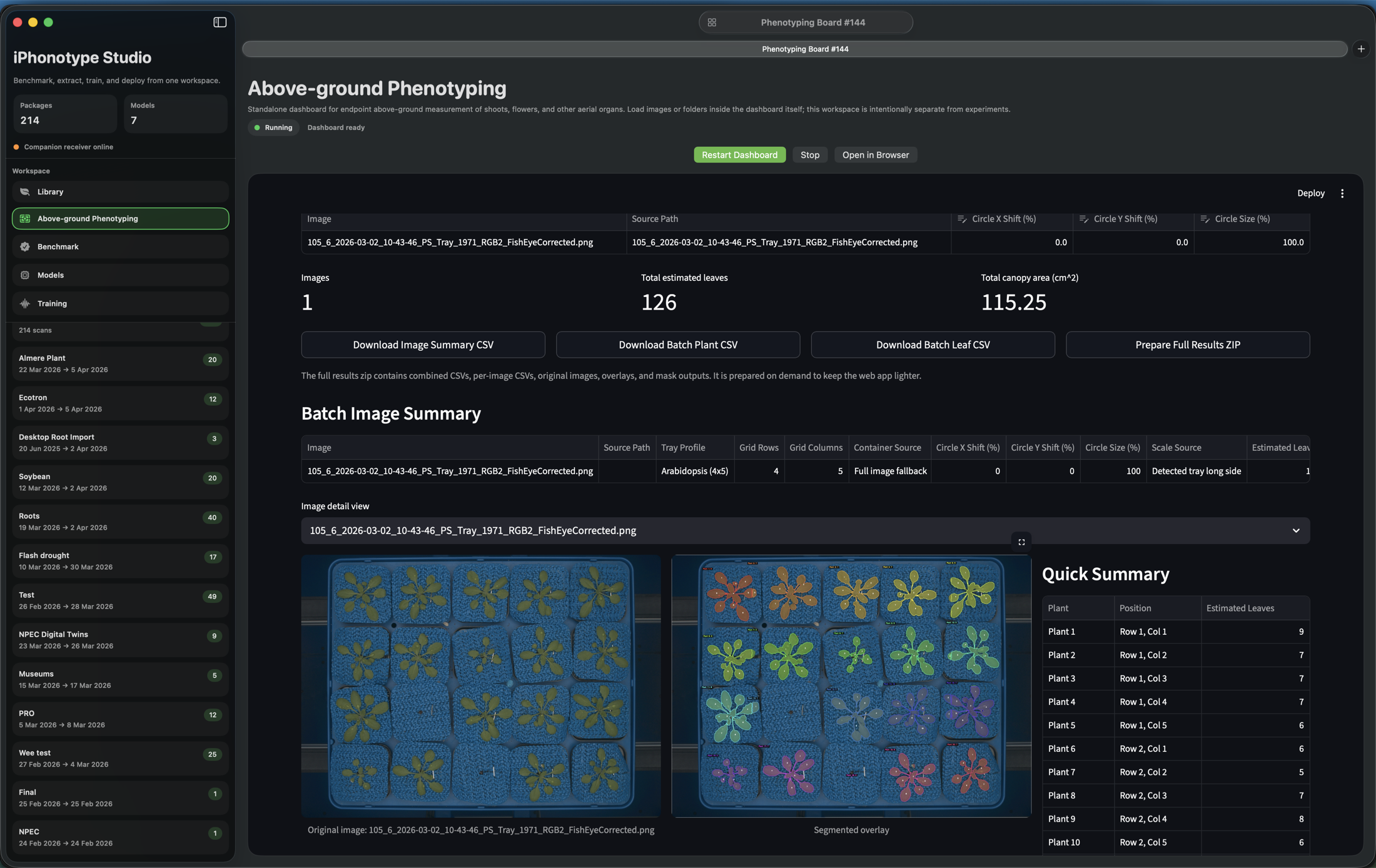 Mac Companion phenotyping screen for Arabidopsis tray analysis with many plant detections.