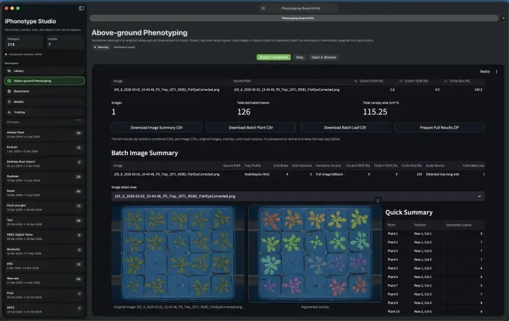 Mac Companion phenotyping screen for Arabidopsis tray analysis with many plant detections.