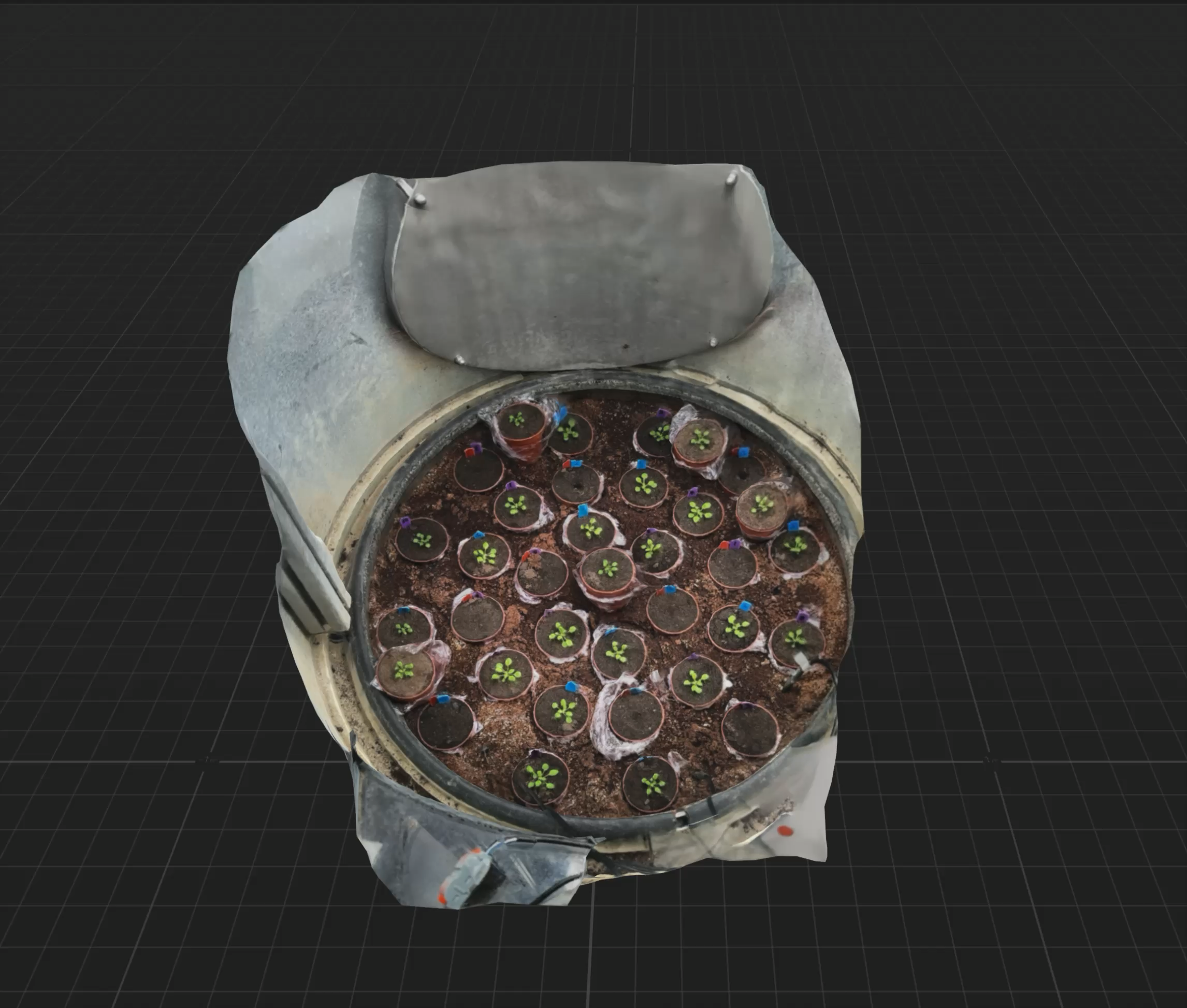 Single-plant captured scene reconstructed as a 3D model.