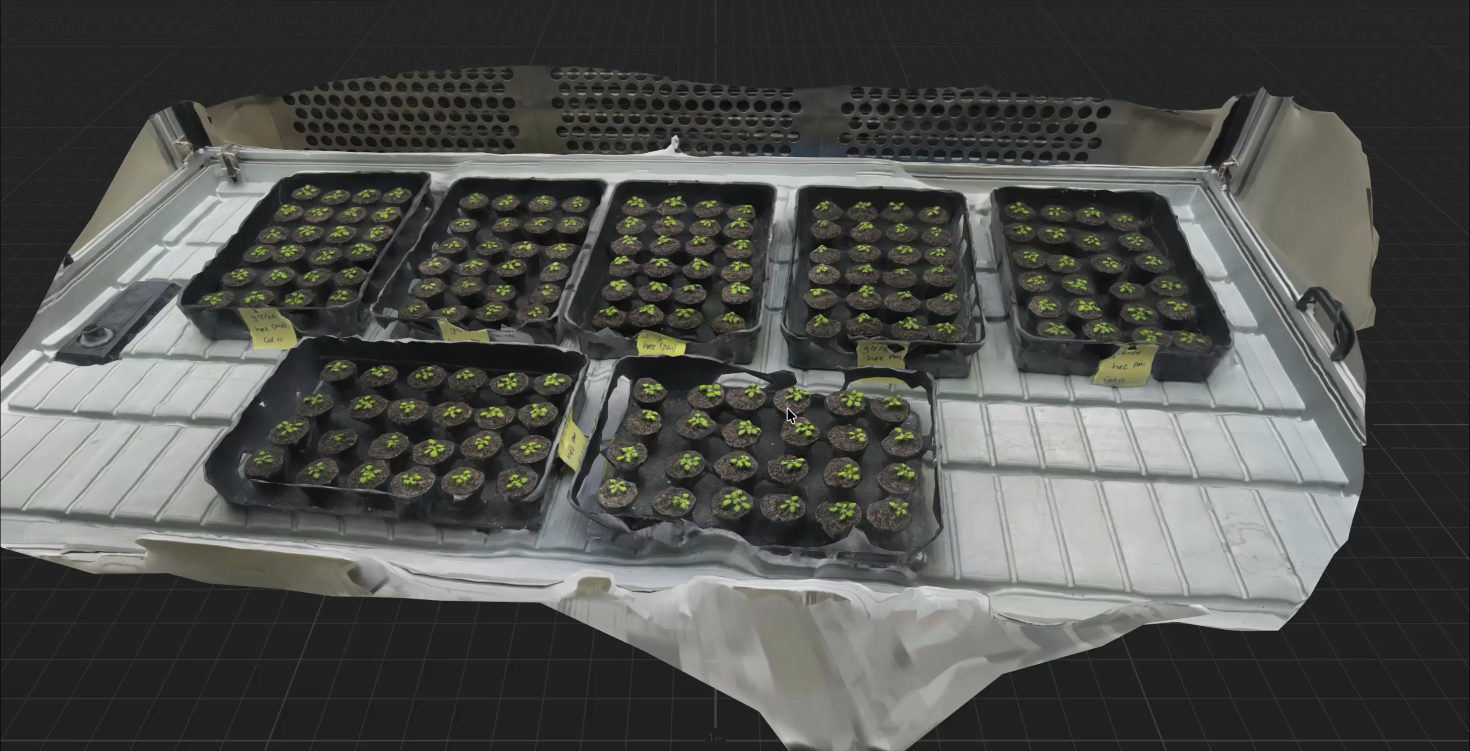3D reconstruction of plant trays generated from captured data.